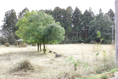 宿泊施設の目の前に広がる公園。ここを整備して牧場とする予定。