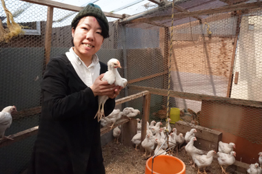 ひな鳥の屋舎内で。元気な鳴き声が響き渡る。