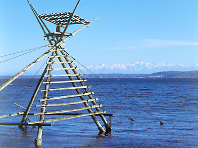 ボラ待ちやぐら