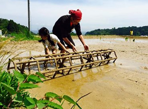 大呑グリーンツーリズム1