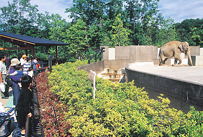 いしかわ動物園