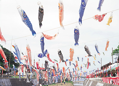 大谷川鯉のぼりの川渡し